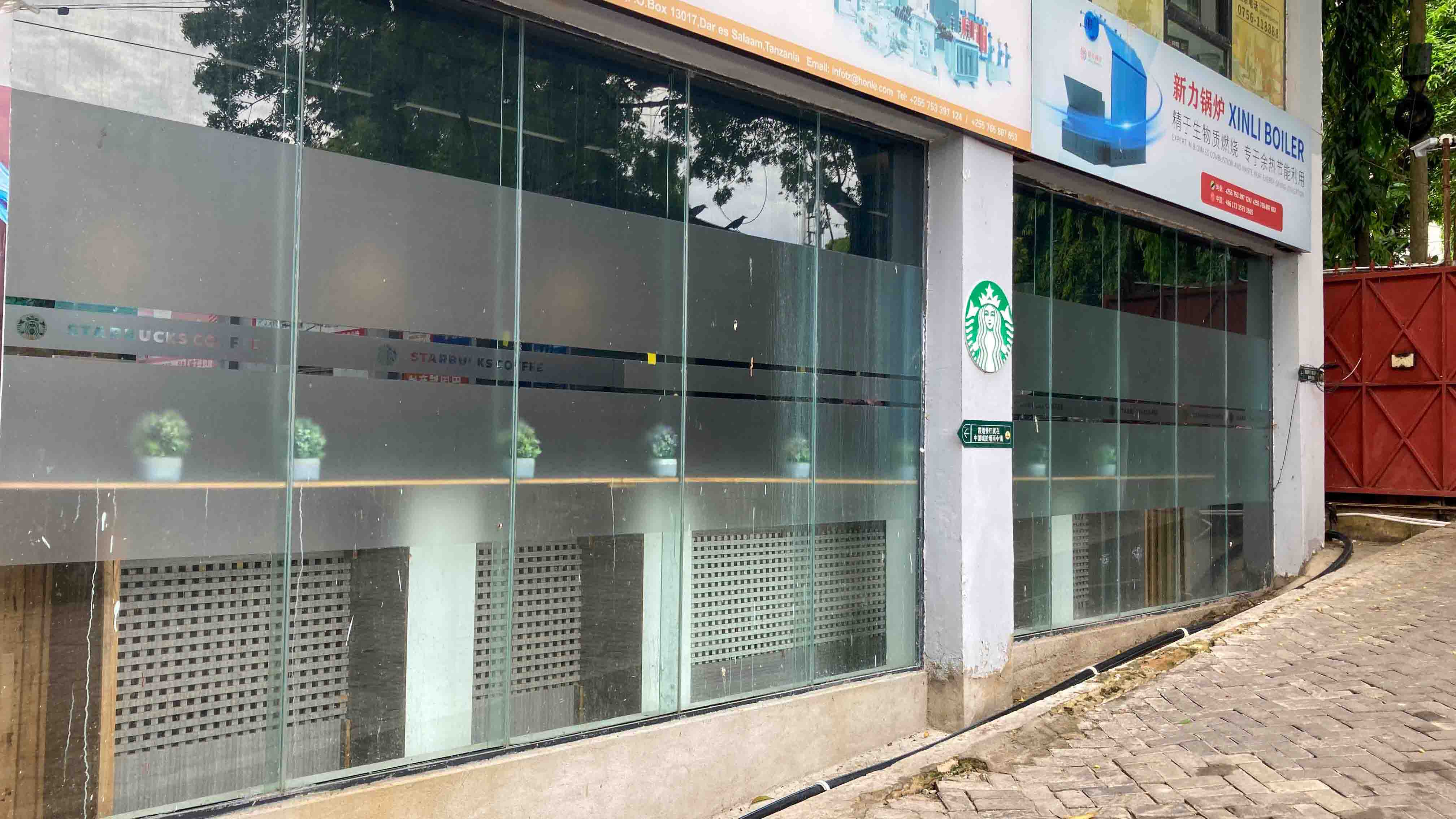 Exterior of the Starbucks with frosted glass windows, small potted plants, and visible signage in both English and Chinese.
