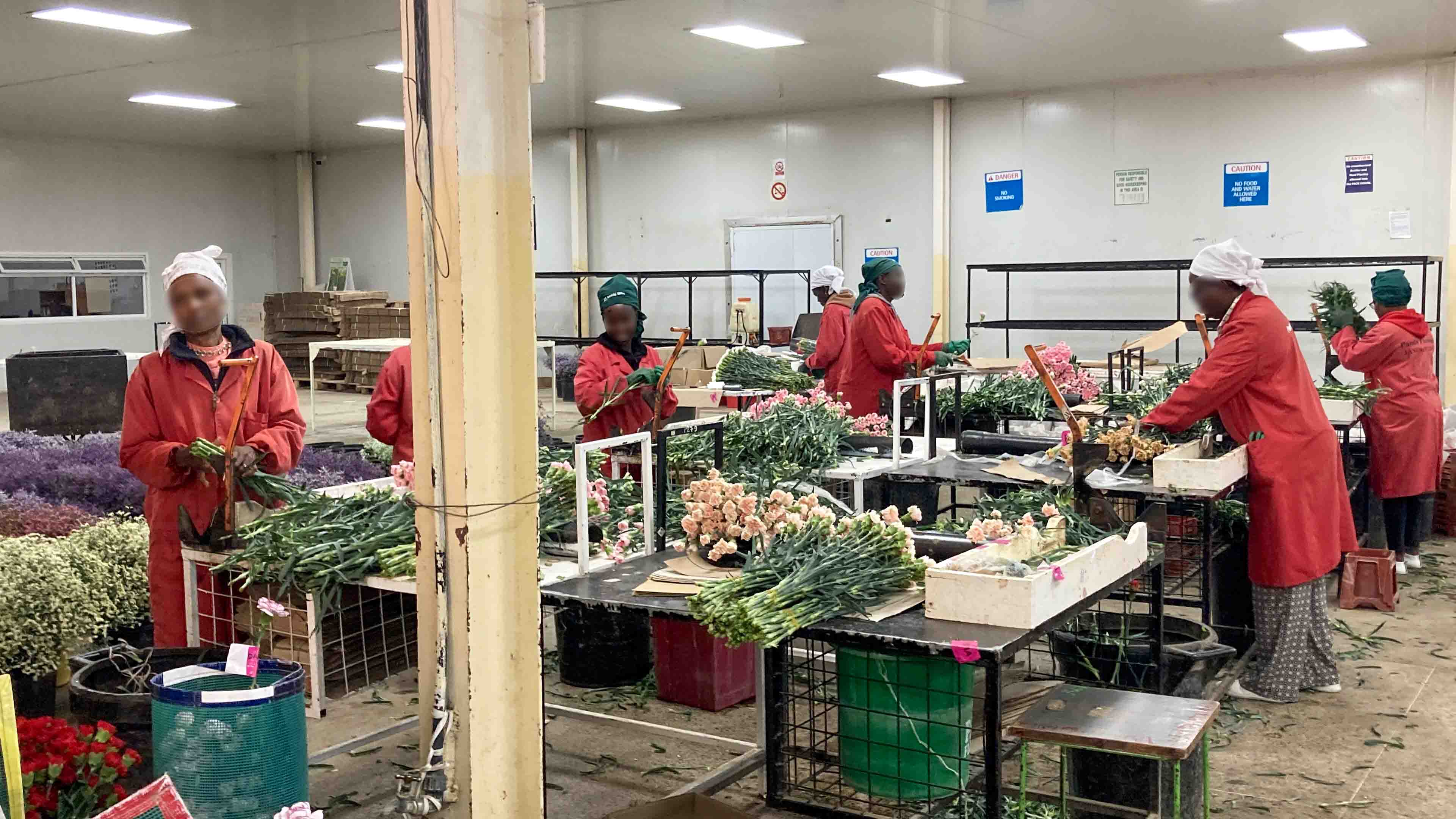Workers in red coats process and bundle flowers inside a flower export facility in Kenya.