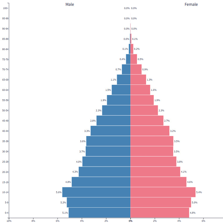 Population pyramid of Egypt showing a broad base of young age groups, indicating a rapidly growing and youthful population.