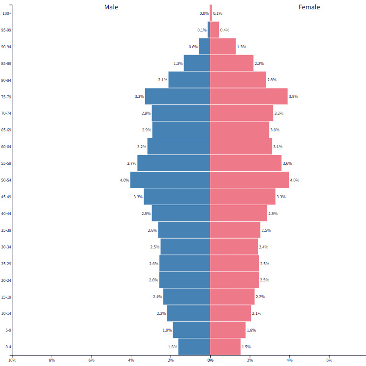 Population pyramid of Japan showing an aging population structure with a narrower base and larger elderly population.